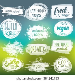 Labels with vegetarian and raw food diet designs. Organic food tags and elements set for meal and drink,cafe, restaurants and organic products packaging.Vector illustrated bio detox logo.