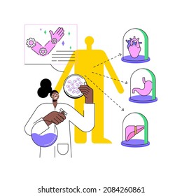 Lab-grown Organs Abstract Concept Vector Illustration. Laboratory-grown Stem Cells, Bioartificial Organs, Artificial Human Body Parts, Growing Transplant In Lab, Bio-engineering Abstract Metaphor.