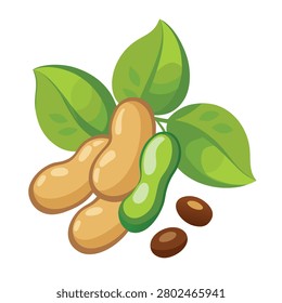 Lablab Beans Pods and Leaves Vector Illustration Isolated
