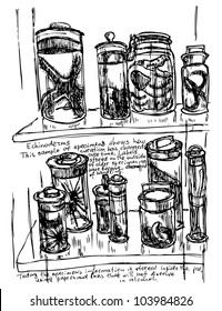 Laboratory bottle sketch in vector