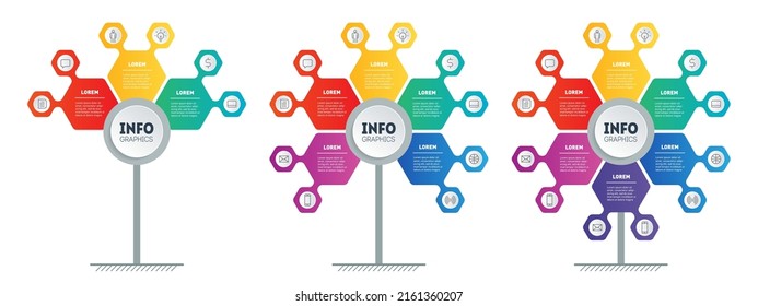 Ciclo de desarrollo de laboratorio. Un gráfico o infografía dividida en tres opciones. Producción de alta tecnología. Conjunto de presentaciones empresariales en el campo de la nanotecnología con 3, 5 y 6 partes.