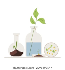 Laboratory equipment with plants - flask, petri, bottle, plant, leaf, sprout, soil. Biotechnology Lab concept. Biology research in chemistry. Minimalist flat illustration