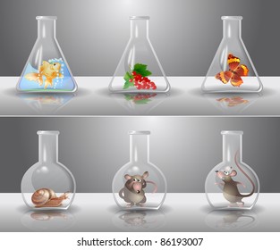 Laboratory flasks with different living organisms inside