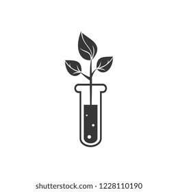 laboratory glass and plant