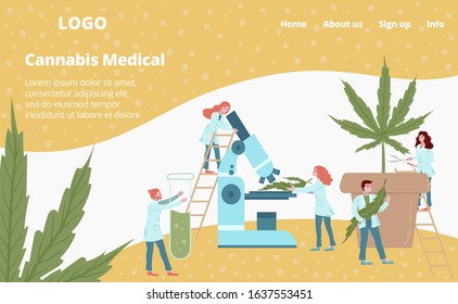 Laboratory medicines from cannabis plant web template vector illustration. Scientist mini people make herbal medicine from medical cannabis. Medics analyzing plants, herbs webpage.