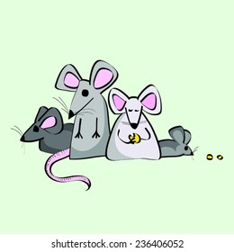 Laboratory Pet Rats In A Group, Eating