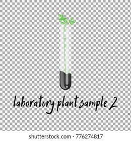 laboratory plant sample vector on transparent background. Laboratory glassware with soil and plant. Flat design illustration on color background. - stock vector