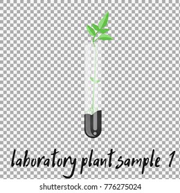 laboratory plant sample vector on transparent background. Laboratory glassware with soil and plant. Flat design illustration on color background. - stock vector