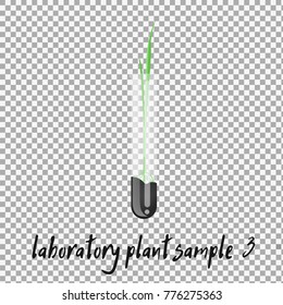 Laboratory Plant Sample Vector On Transparent Background. Laboratory Glassware With Soil And Plant. Flat Design Illustration On Color Background. - Stock Vector