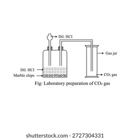 Preparación en laboratorio del gas de CO2