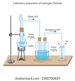 Laboratory preparation of hydrogen chloride. vector illustration. sodium chloride and concentrated sulphuric acid heated togetherto produce hydrogen chloride. chemical and educational concept.