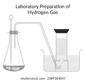 Laboratory Preparation of Hydrogen Gas – Scientific Experiment Illustration, Chemitry experiment, chemistry lab, laboratory