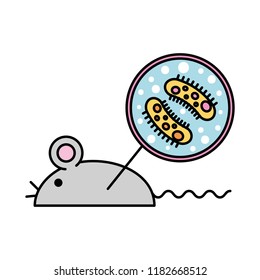 laboratory rat infecting virus experiment