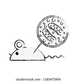 laboratory rat infecting virus experiment