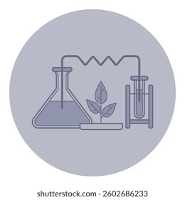 Laboratory setup with various glass beakers and plant. Process of biological research focused on plant growth and development
