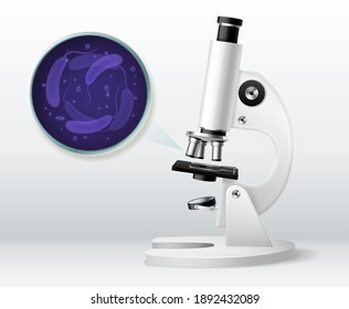 Labortests. Realistisches 3D-Mikroskop und Petrischalen-Draufsicht mit Bakteriengramm, Keimzoomen, wissenschaftlicher Forschung, mikrobiologischer Analyse, medizinischer Untersuchung mit dem Vektorkonzept des Gerätes