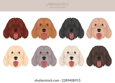 Labradoodle Clip Art. Unterschiedliche Posen, Farben für die Fellfarbe.  Vektorgrafik