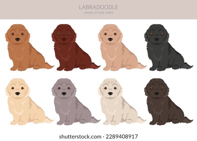 Labradoodle Clip Art. Unterschiedliche Posen, Farben für die Fellfarbe.  Vektorgrafik