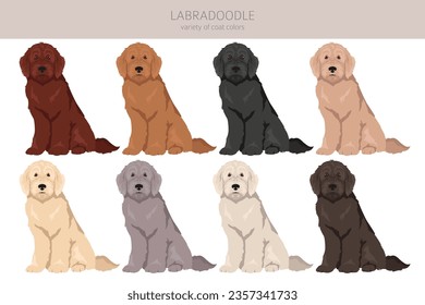 Labradoodle Clip Art. Unterschiedliche Posen, Farben für die Fellfarbe.  Vektorgrafik