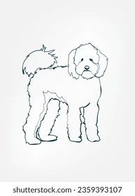 Labradoodle dog breed animal vector line art one line sketch outline