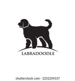Perro Labradoodle - ilustración vectorial aislada