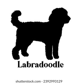 Labradoodle Dog silhouette dog breeds logo dog monogram logo dog face vector