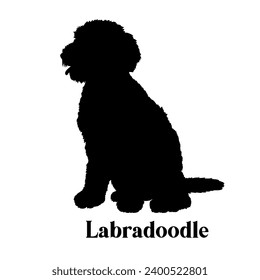 Labradoodle Dog Silhouette Vector breed svg