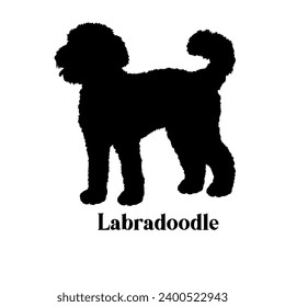 Labradoodle Dog Silhouette Vector breed svg
