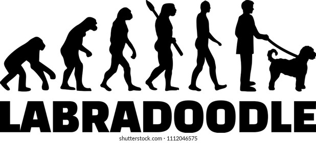 Labradoodle evolution development with word