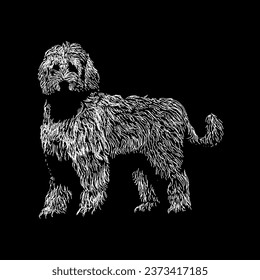 labradoodle handgezeichnete Vektorgrafik einzeln auf schwarzem Hintergrund.