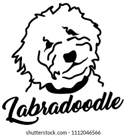 Labradoodle head silhouette with name  svg