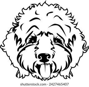 Labradoodle Mix dog - vector isolated illustration on white background. Goldendoodle, Cute Pet Face, puppy.   Print for clothes.