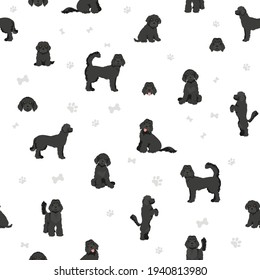 Labradoodle seamless pattern.  Different poses, coat colors set.  Vector illustration svg