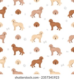 Labradoodle seamless pattern. Different poses, coat colors set.  Vector illustration