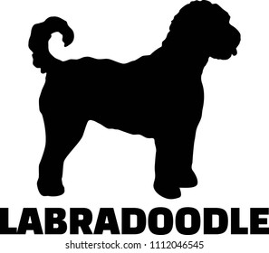 Labradoodle silhouette real with word svg