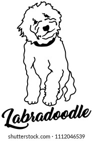 Labradoodle silhouette white with name svg