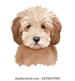 labradoodle with style hand drawn watercolor digital painting illustration svg