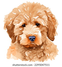 Labradoodle mit handgezeichneter Aquarellfarbengrafik