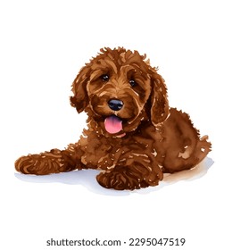 labradoodle with style hand drawn watercolor digital painting illustration svg