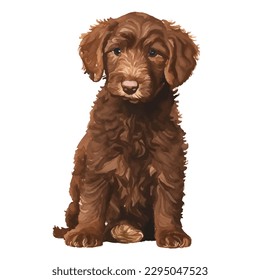 labradoodle with style hand drawn watercolor digital painting illustration