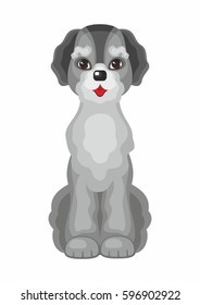 labradoodle . Vector image of a cute purebred dogs in cartoon style.