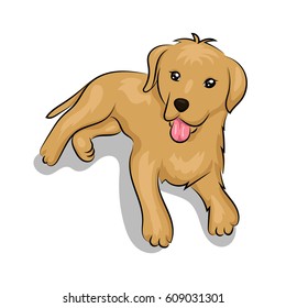 labrador