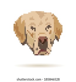 Labrador abstract isolated on a white backgrounds, vector illustration