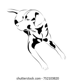labrador. black and white vector dog