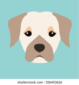 Labrador, breed dog square icon, vector illustration