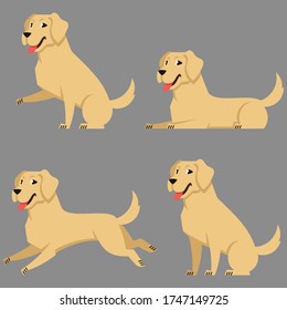 Labrador in different poses. Beautiful dog in cartoon style.