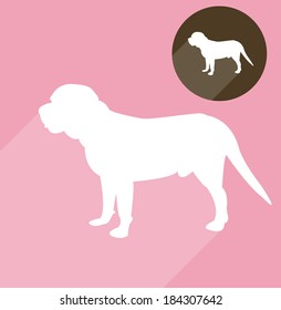 Labrador, dog