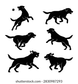 Labrador Dog Agility Training Silhouette Set Jumping Hurdle Swimming Vector Illustration