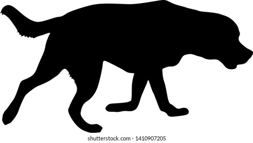 Labrador dog black silhouette on white background.