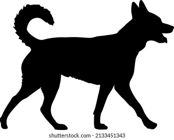 Labrador dog black silhouette on white background.